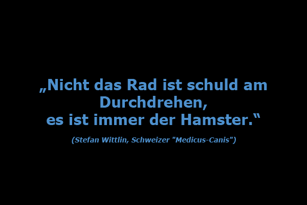 Chiegau Biking Intro - Zitat